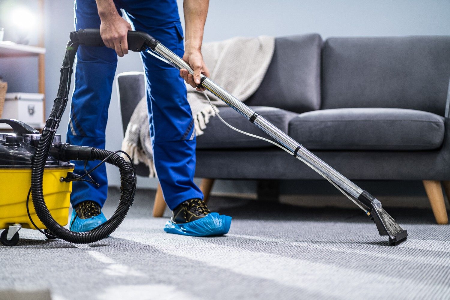 Professional carpet cleaning service